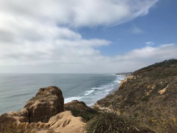 Card image for Torrey Pines State Beach