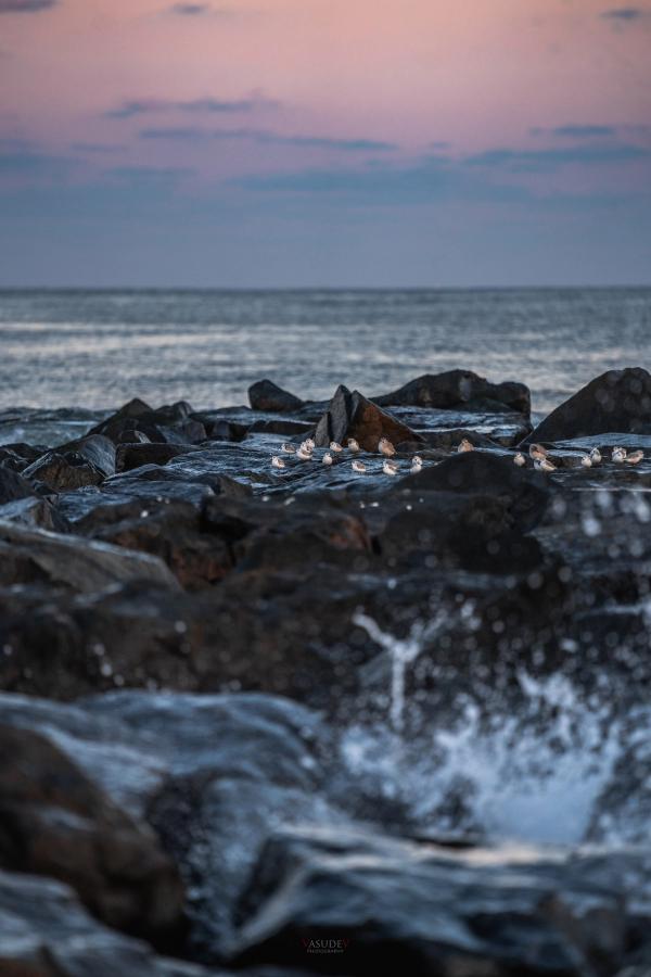 Card image for Sea Girt