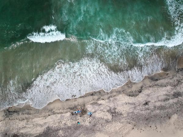 Card image for South Carlsbad State Beach