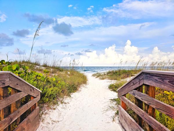 Card image for Coquina Beach