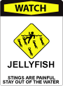 Box Jellyfish Watch Icon A sign with bold, red lettering at the top that says "Watch", with iconography depicting a person swimming surrounded by jellyfish. Under the iconography there's text that says "Jellyfish. Stings are painful, stay out of the water."