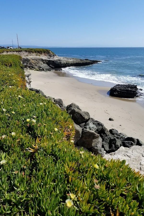 Card image for Mitchell's Cove Beach