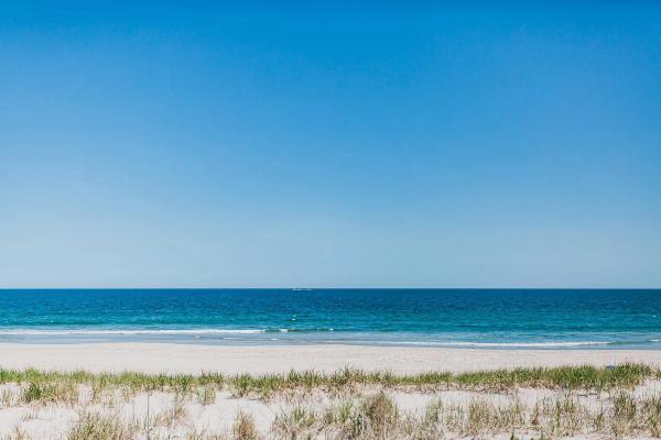 Card image for LBT - Beach Haven Crest