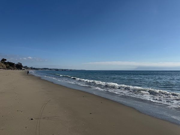 Card image for Seacliff State Beach