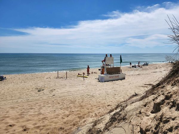 Card image for Ladies Beach