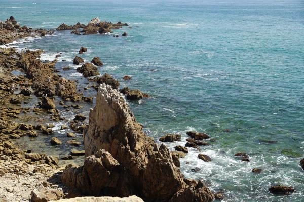 Card image for Newport Beach – CdM