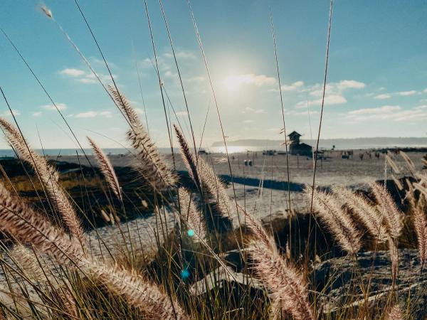 Card image for Coronado Beach