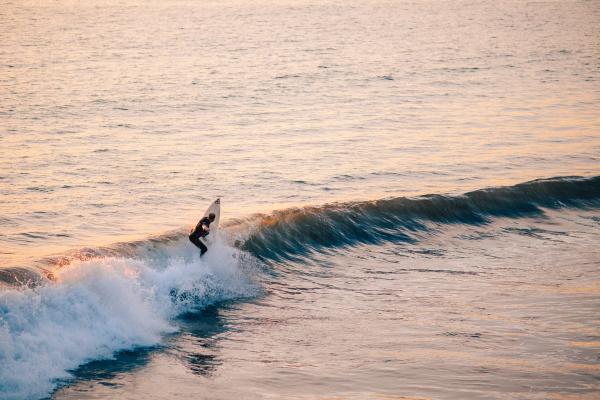 Card image for Seal Beach