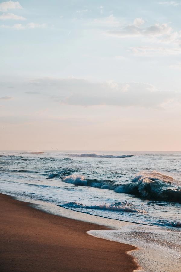 Card image for Bay Head