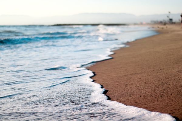Card image for Dockweiler North