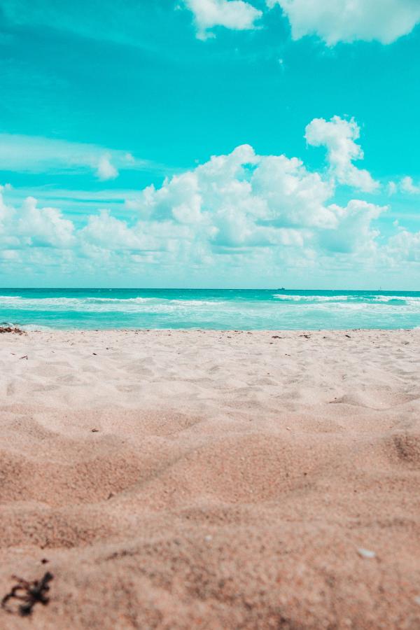 Card image for Duck Beaches & Southern Shores