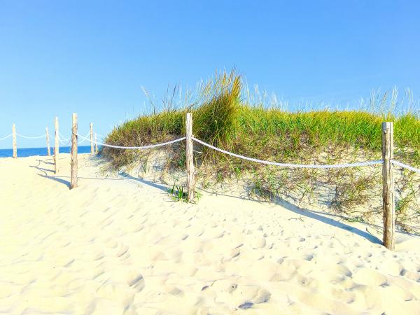 Card image for Rodanthe Beach