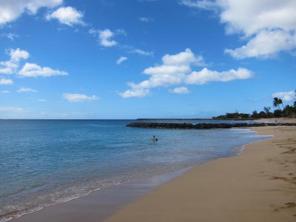 Card image for Pokaʻī Bay Beach Park