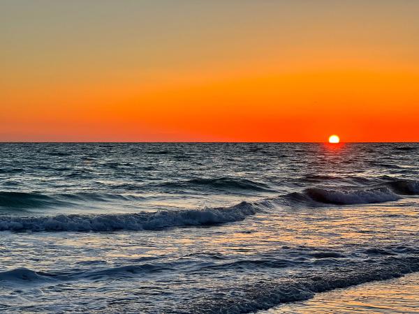 Card image for Manatee Public Beach