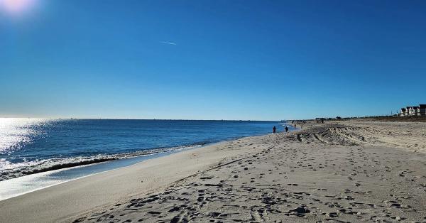 Card image for Normandy Beach