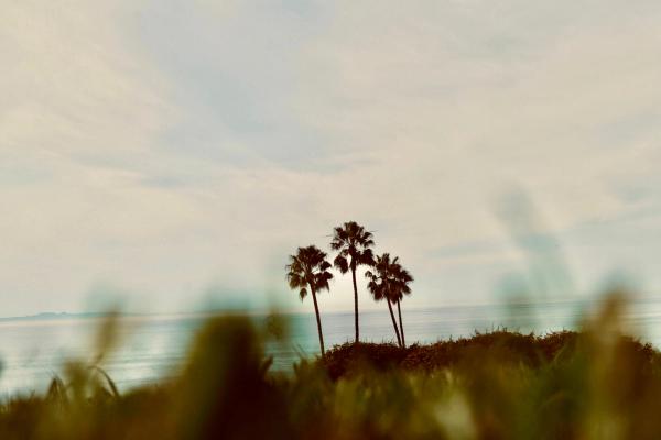 Card image for Salt Creek Beach
