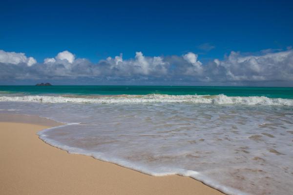 Card image for Waimanalo Beach Park