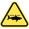 Sharks