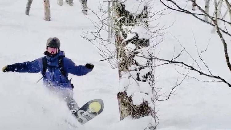 單板滑雪者在樹林的粉雪裡滑行
