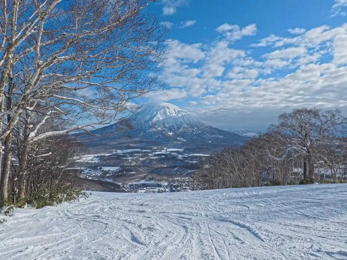 Green 雪道上的白樺樹與正對面的羊蹄山
