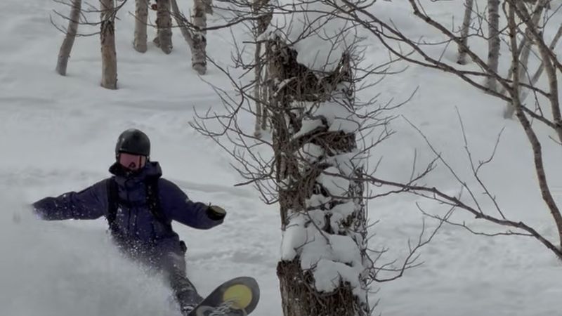 Why Is Niseko's Snow So Special? Three Ways Coaches Read the Day's Conditions
