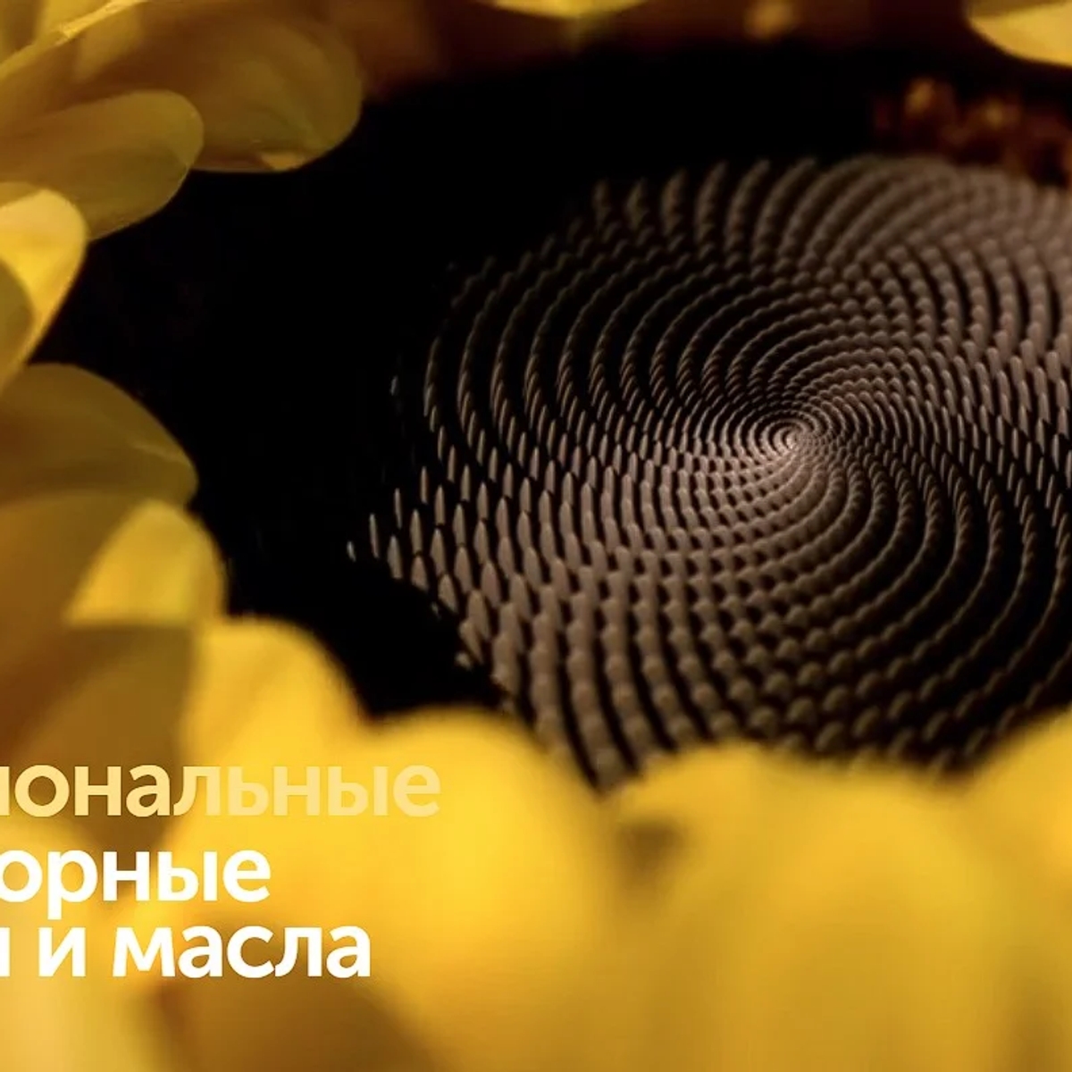 SolPro - промышленные жиры и маргарины для хлебобулочной промышленности | Масложировая продукция | Астана | Галерея объявления (SEO) | 1