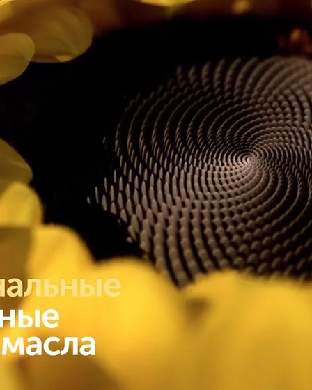 SolPro - промышленные жиры и маргарины для хлебобулочной промышленности | Масложировая продукция | Астана | 1