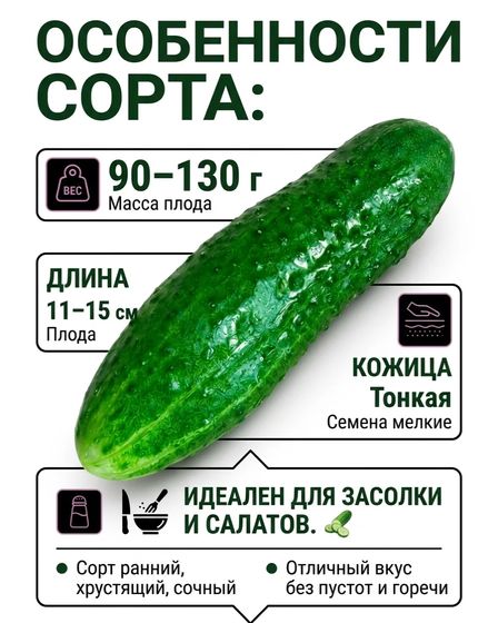 Огурцы сорта "Кураж" домашние с огорода | Овощи, фрукты | Лисаковск | 4