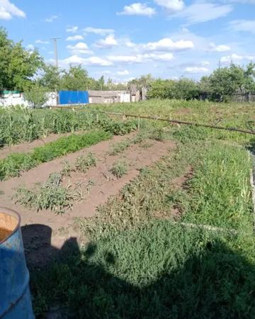 Продам дачу Энергостроитель