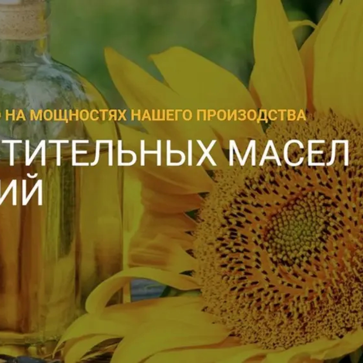 Завод растительных масел Бобровский | Масложировая продукция | Астана | Галерея объявления (SEO) | 1