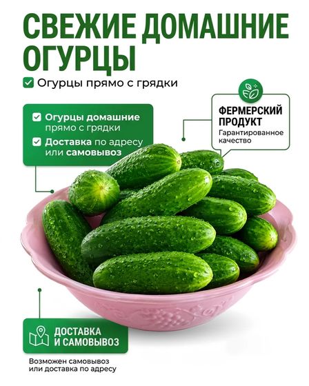 Огурцы сорта "Кураж" домашние с огорода | Овощи, фрукты | Лисаковск | 3