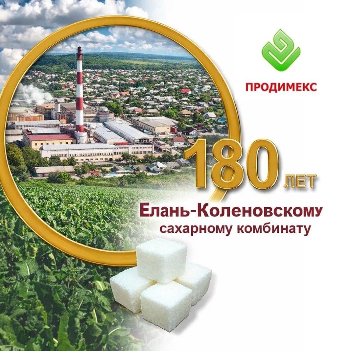 Елань-Коленовский сахарный завод - крупнейший производитель сахара | Бакалея | Астана | Галерея объявления (SEO) | 1