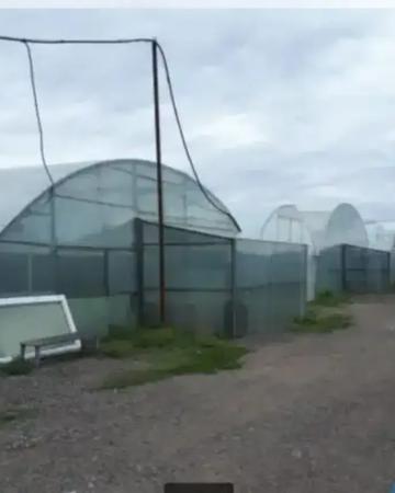 Продам тепличное хозяйство