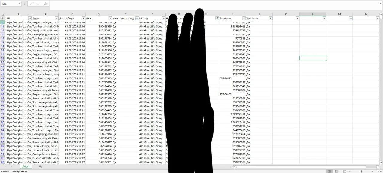Профессиональный парсинг данных. Опыт 3+ года. Любая сложность (JS, блокировки) | Другие сферы бизнеса | Астана | 2