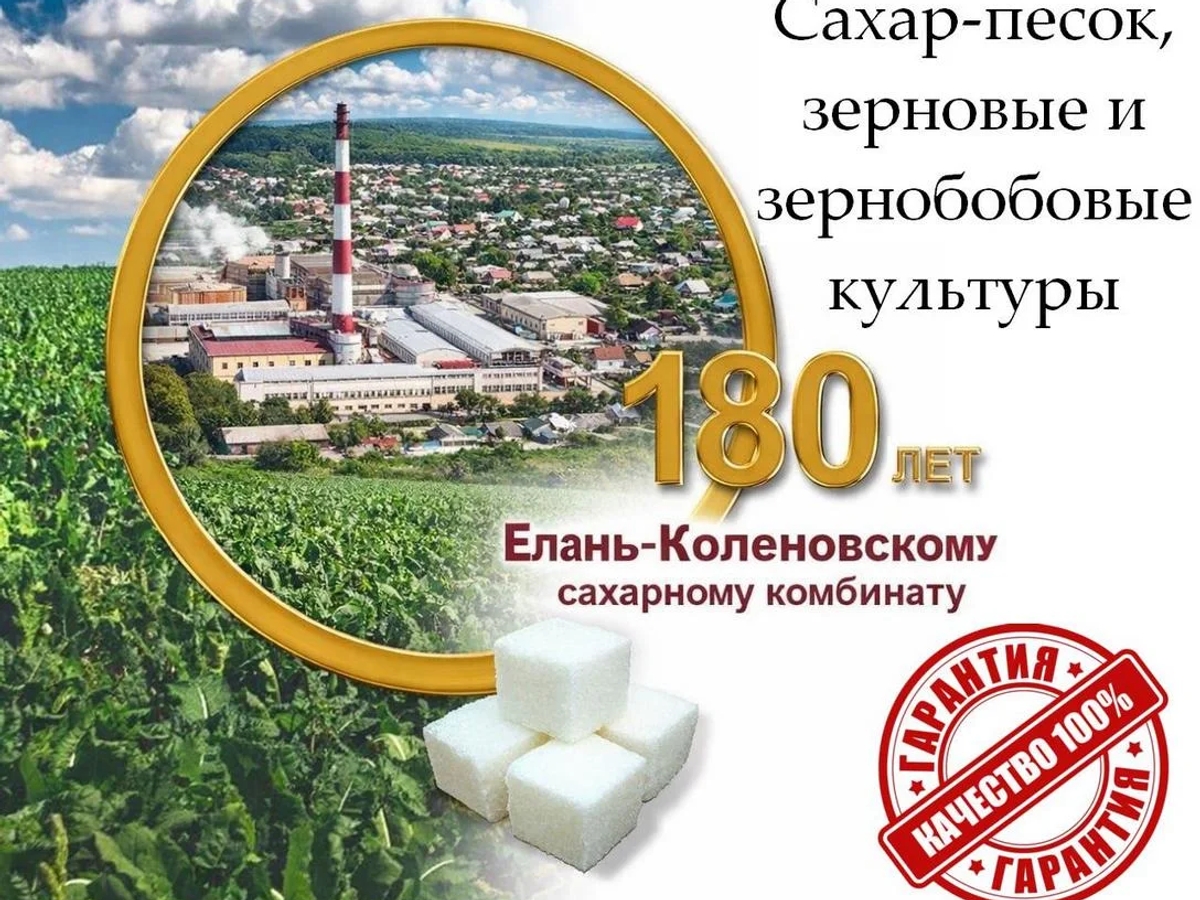 Сахар-песок, зерновые и зернобобовые культуры от Елань-Коленовский СЗ | Бакалея | Астана | Галерея объявления (SEO) | 2