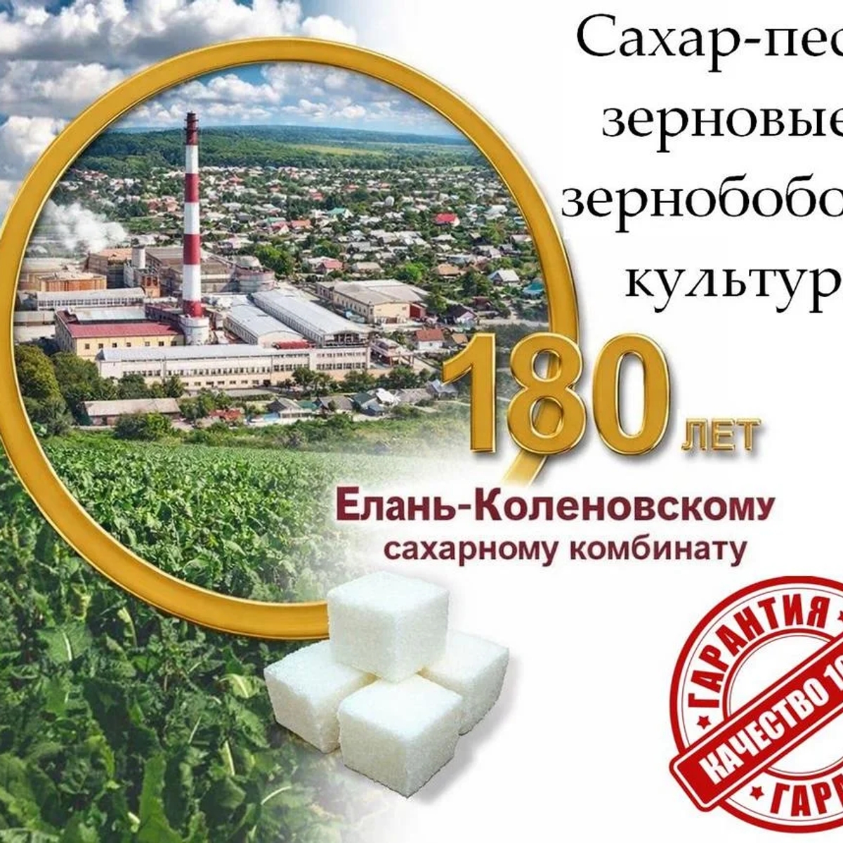 Сахар-песок, зерновые и зернобобовые культуры от Елань-Коленовский СЗ | Бакалея | Астана | Галерея объявления (SEO) | 1