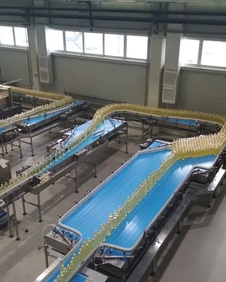 Высококачественное подсолнечное масло оптом от производителя | Масложировая продукция | Астана | 3