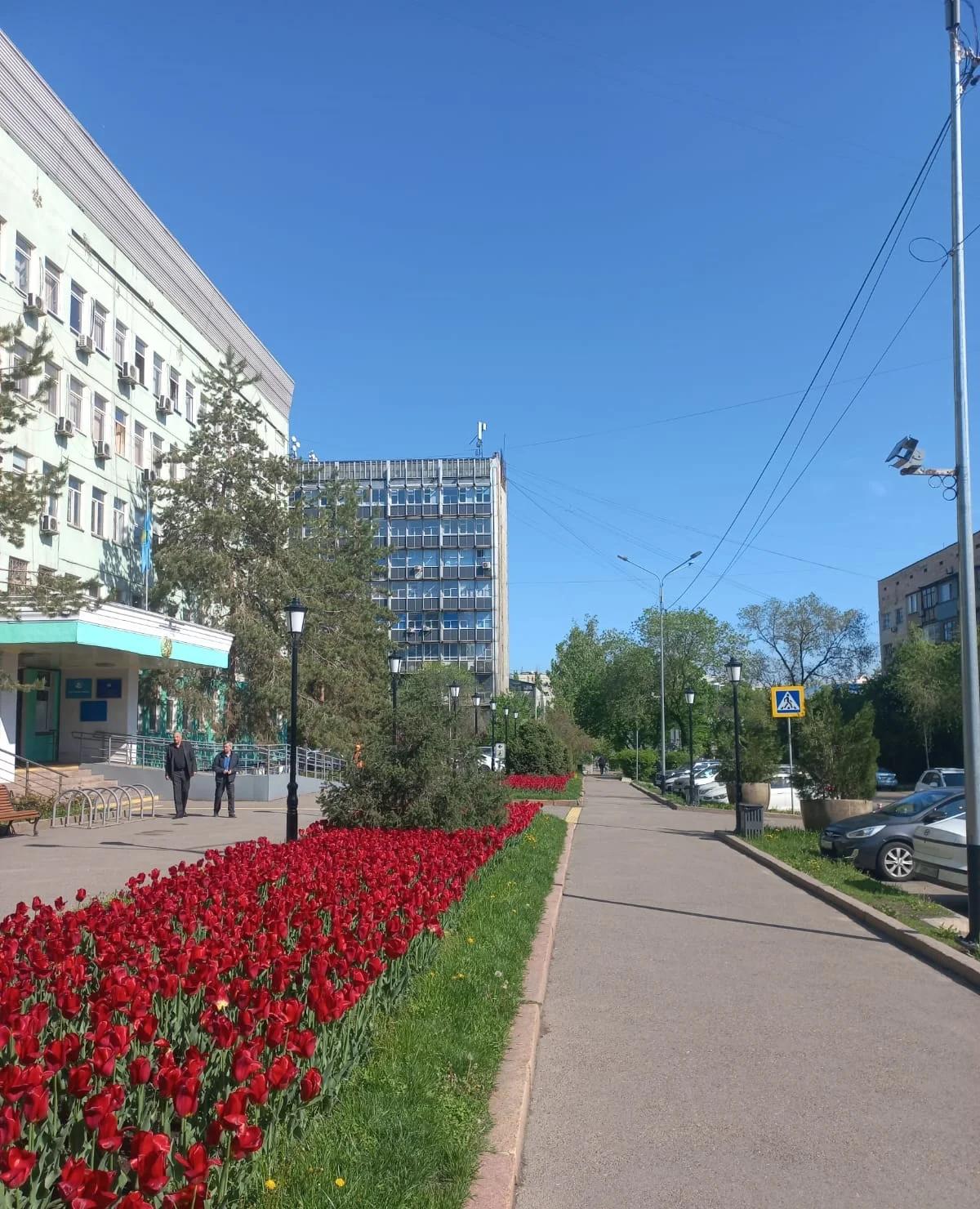 "make accounting - бухгалтерский аутсорс" Ваш надёжный бэк-офис в учёте | Бухгалтерские и аудиторские услуги | Алматы | 2
