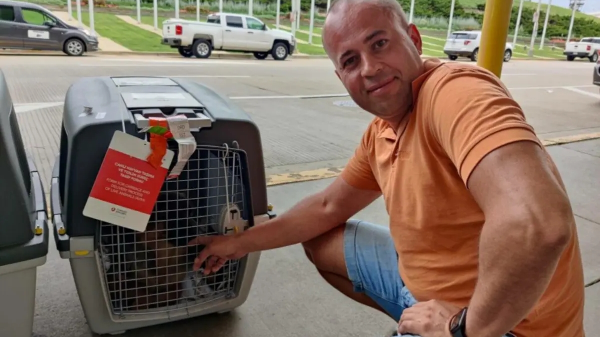 Перевозка животных в Америку и Европу | Другие услуги | Алматы | Галерея объявления (SEO) | 3