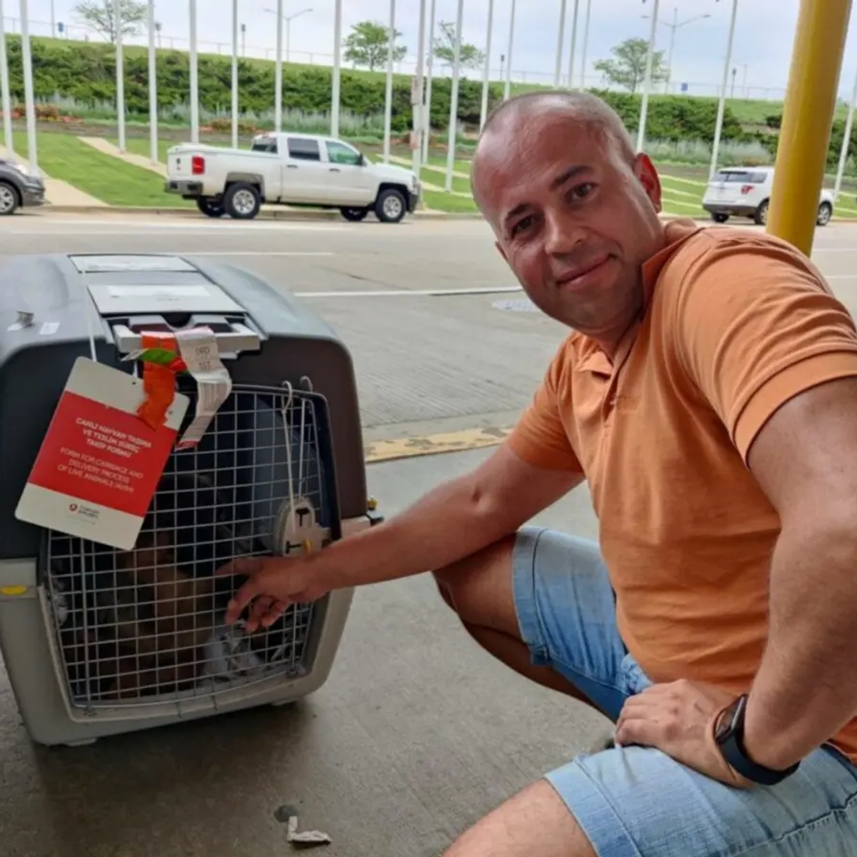 Перевозка животных в Америку и Европу | Другие услуги | Алматы | Галерея объявления (SEO) | 1