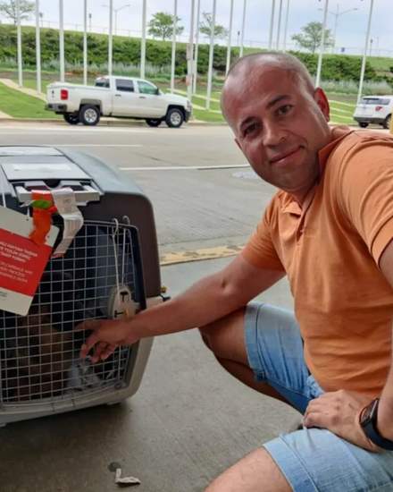 Перевозка животных в Америку и Европу | Другие услуги | Алматы | 1