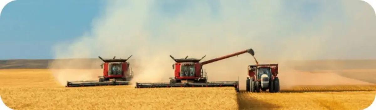 Подсолнечное и соевое масло оптом - ТМ Золотая Семечка | Масложировая продукция | Астана | 2