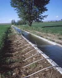 Изготовим лотки для полива