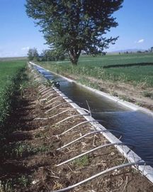 Изготовим лотки для полива