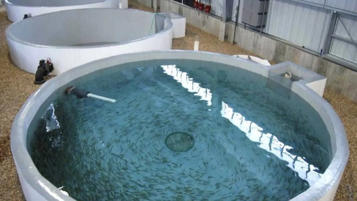 Поменяю емкости из полимер-композитов на СпецТехнику | Другое оборудование и техника | Усть-Каменогорск | Галерея объявления (SEO) | 3