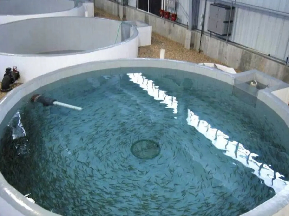 Поменяю емкости из полимер-композитов на СпецТехнику | Другое оборудование и техника | Усть-Каменогорск | Галерея объявления (SEO) | 2