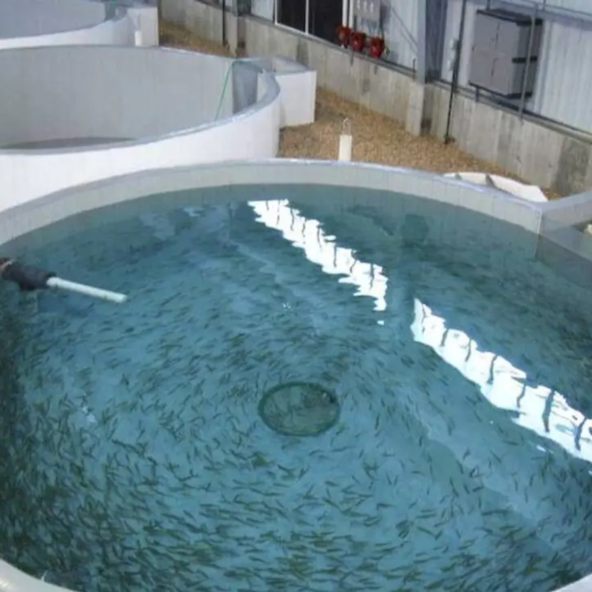 Поменяю емкости из полимер-композитов на СпецТехнику | Другое оборудование и техника | Усть-Каменогорск | Галерея объявления (SEO) | 1