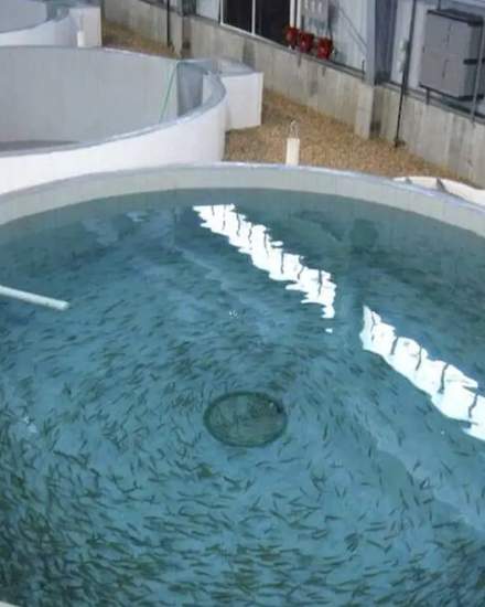 Поменяю емкости из полимер-композитов на СпецТехнику | Другое оборудование и техника | Усть-Каменогорск | 1