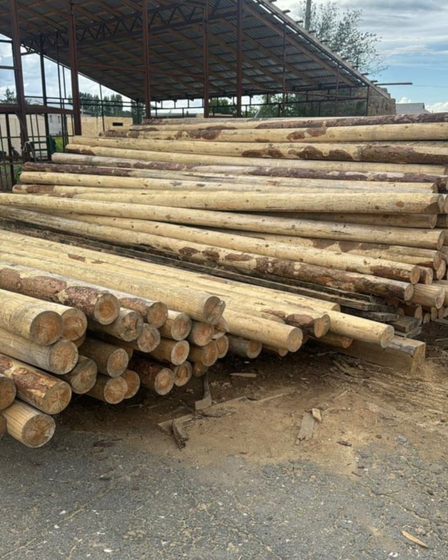 Пиломатериалы | Другое сырье и материалы | Астана | 4