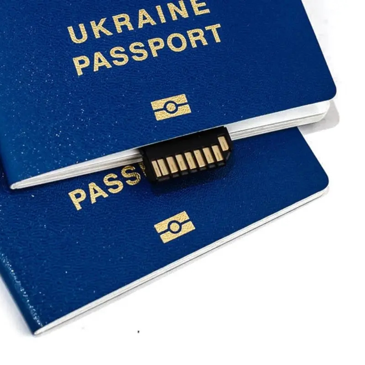 Паспорт Украины, гражданство, id карта | Сопровождение иностранцев | Алматы | Галерея объявления (SEO) | 1